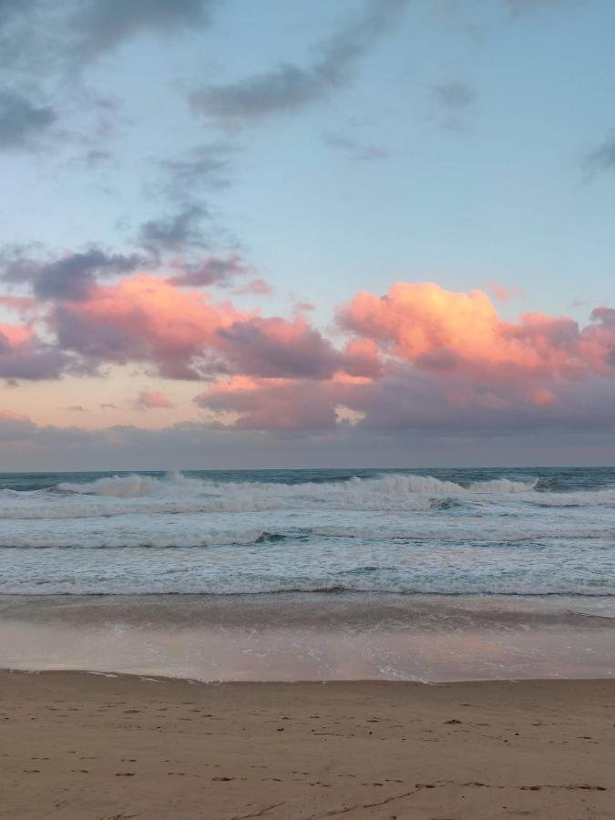 Eugarie Seaside Guesthouse ماركولا المظهر الخارجي الصورة